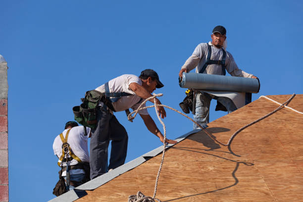 Best Roof Gutter Cleaning  in Knightdale, NC